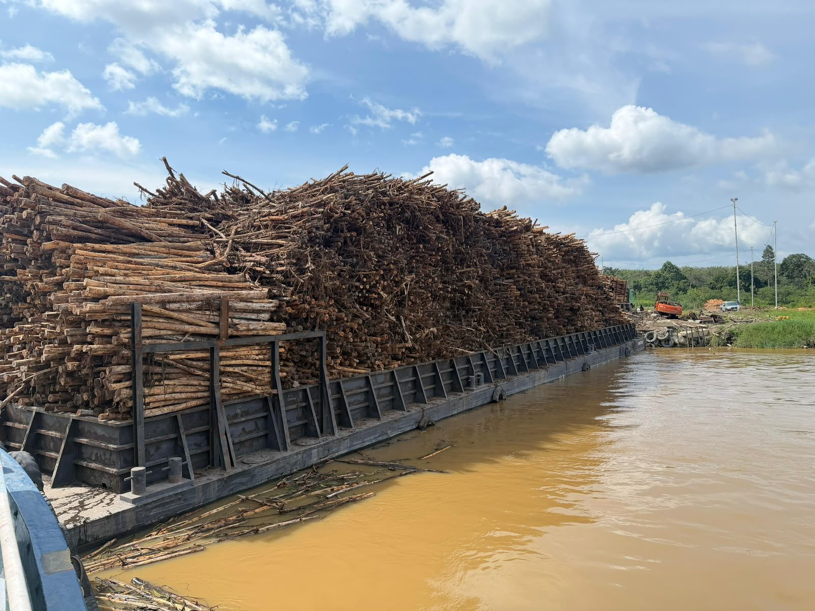 Tongkang bermuatan penuh kayu gelondongan di perairan sungai